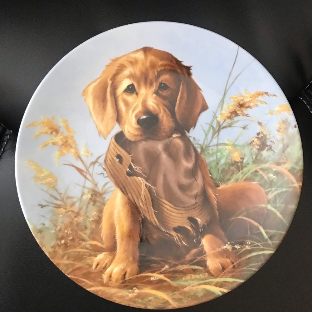 Edwin M Knowles Collectors Plate Caught In the Act